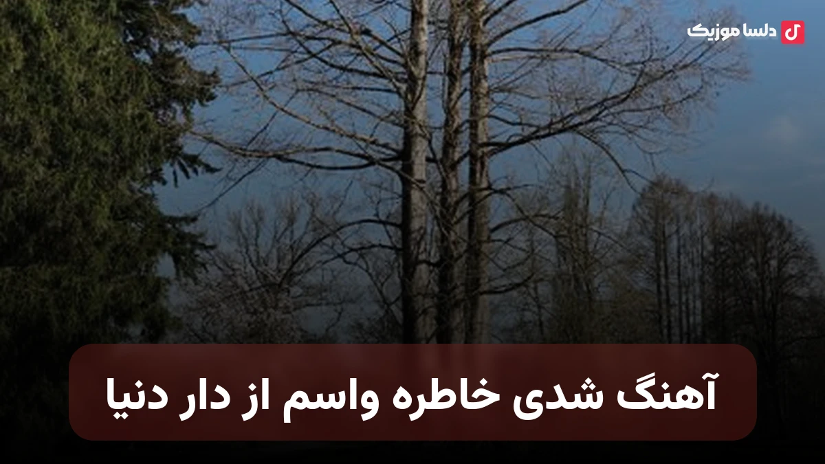  شدی خاطره واسم از دار دنیا یه تورو میخواستم